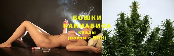 гидропоника Гусиноозёрск