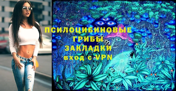 тгк Гусь-Хрустальный