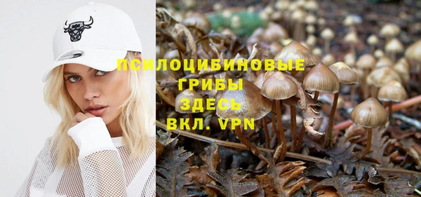 тгк Гусь-Хрустальный