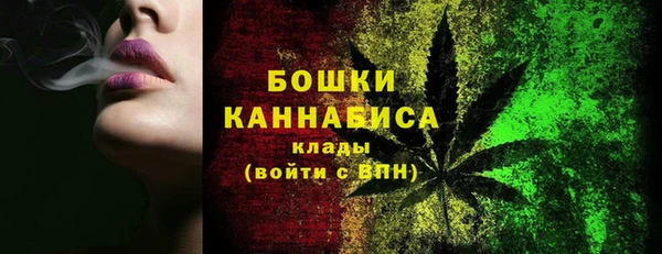 гидропоника Гусиноозёрск