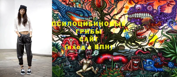 гидропоника Гусиноозёрск