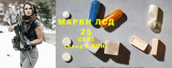гидропоника Гусиноозёрск