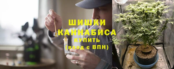 гидропоника Гусиноозёрск
