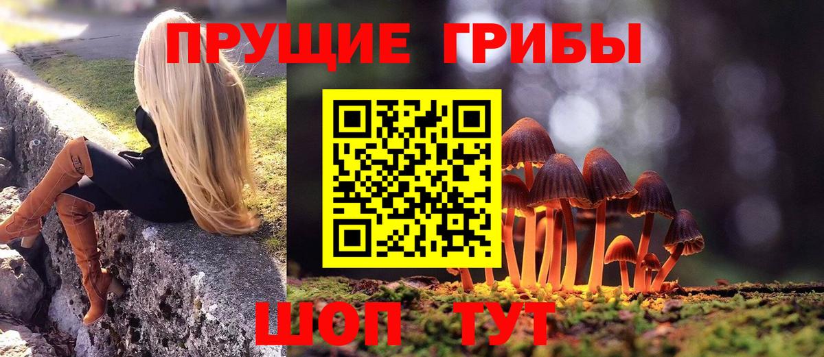 Псилоцибиновые грибы MAGIC MUSHROOMS  Вход с VPN  Псилоцибиновые грибы MAGIC MUSHROOMS  Тольятти 