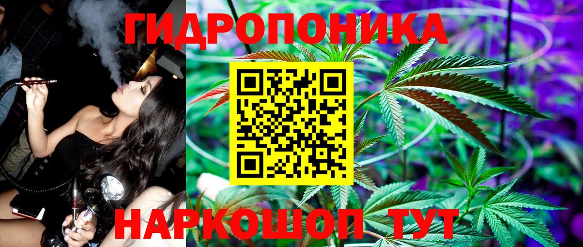 Бошки Шишки семена Тольятти
